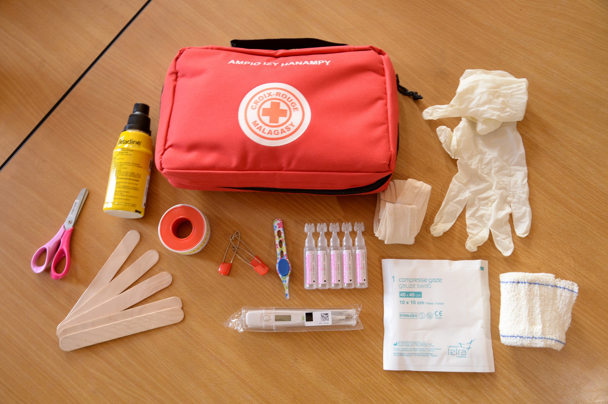 Croix-Rouge Malagasy formation en ligne.